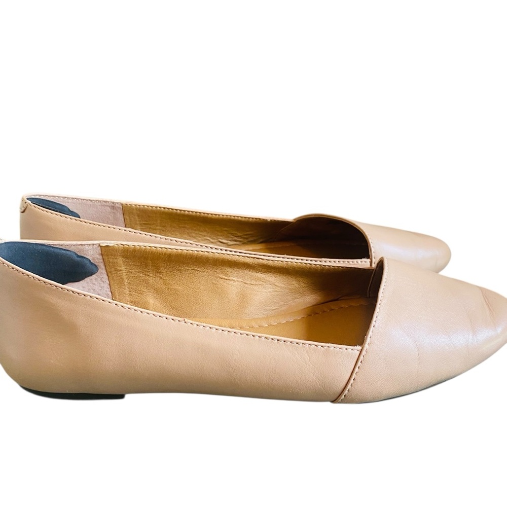⭐️ Lucky Brand Archh Pointed Toe Flat